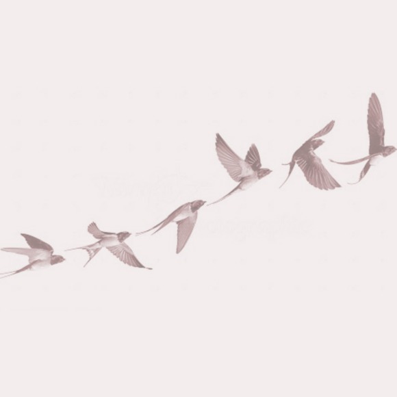 jayebird343